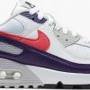 Nike Air Max 90 (Eggplant) - Maat 40