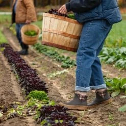 Muck Boot - Muck Originals Pull On Ankle - Brown/Plaid - Dames - 38 20 Muck Boot - Muck Originals Pull On Ankle - Brown/Plaid - Dames - 38 -dames-schoenen Verkoop 550x492 4