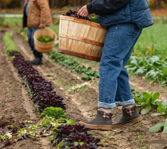 Muck Boot - Muck Originals Pull On Ankle - Brown/Plaid - Dames - 38 10 Muck Boot - Muck Originals Pull On Ankle - Brown/Plaid - Dames - 38 - Afbeelding 10