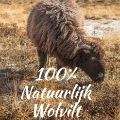 Tofvel Rabara Pantoffels Blauw Uni (TF2000-68) 15 Tofvel Rabara Pantoffels Blauw Uni (TF2000-68) -dames-schoenen Verkoop 550x690 4