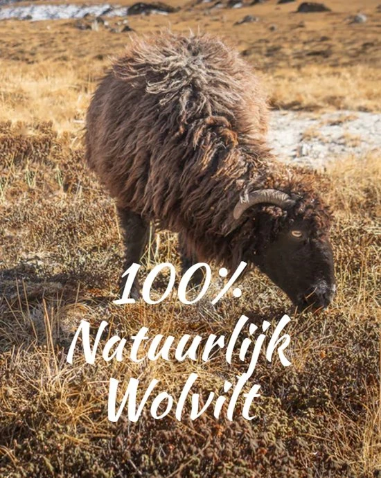 Tofvel Rabara Pantoffels Blauw Uni (TF2000-68) 8 Tofvel Rabara Pantoffels Blauw Uni (TF2000-68) - Afbeelding 8